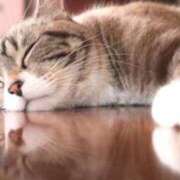 ヒメ日記 2025/07/20 18:18 投稿 ねこさん いけない奥さん 梅田店