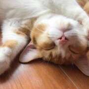 ヒメ日記 2025/07/26 18:28 投稿 ねこさん いけない奥さん 梅田店