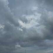 ヒメ日記 2025/08/17 17:20 投稿 ねこさん いけない奥さん 梅田店