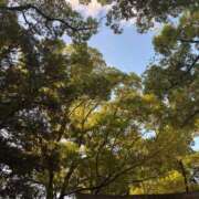 ヒメ日記 2025/09/01 09:33 投稿 ねこさん いけない奥さん 梅田店