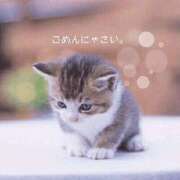 ヒメ日記 2025/09/07 10:18 投稿 ねこさん いけない奥さん 梅田店