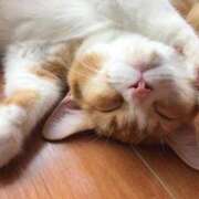 ヒメ日記 2025/09/16 18:42 投稿 ねこさん いけない奥さん 梅田店