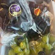 ヒメ日記 2025/09/17 12:14 投稿 ねこさん いけない奥さん 梅田店