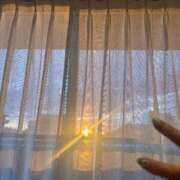 ヒメ日記 2025/09/19 06:08 投稿 ねこさん いけない奥さん 梅田店