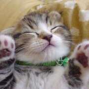 ヒメ日記 2025/10/02 18:20 投稿 ねこさん いけない奥さん 梅田店