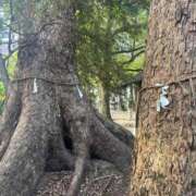 ヒメ日記 2025/10/07 07:28 投稿 ねこさん いけない奥さん 梅田店