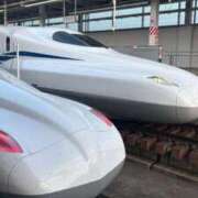 ヒメ日記 2025/10/09 11:28 投稿 ねこさん いけない奥さん 梅田店