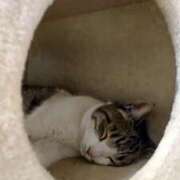 ヒメ日記 2025/05/09 00:35 投稿 あお 野田デリヘル若妻淫乱倶楽部