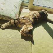 ヒメ日記 2025/05/11 08:34 投稿 あお 野田デリヘル若妻淫乱倶楽部