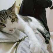 ヒメ日記 2026/01/18 00:50 投稿 あお 野田デリヘル若妻淫乱倶楽部