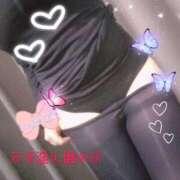 ヒメ日記 2026/01/26 08:00 投稿 あお 若妻淫乱倶楽部