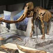 ヒメ日記 2025/08/23 13:32 投稿 みずほ 渋谷蘭の会