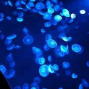 ヒメ日記 2024/12/09 08:01 投稿 【ゆり】水泳インストラクター コーチと私と、ビート板･･･