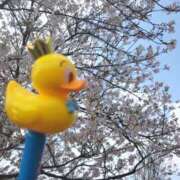 ヒメ日記 2025/04/14 08:09 投稿 【ゆり】水泳インストラクター コーチと私と、ビート板･･･