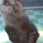 ヒメ日記 2025/04/24 14:17 投稿 【ゆり】水泳インストラクター コーチと私と、ビート板･･･