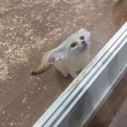 ヒメ日記 2025/10/06 08:23 投稿 【ゆり】水泳インストラクター コーチと私と、ビート板･･･