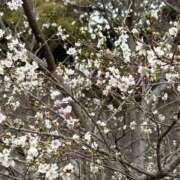 茉莉花-まりか【FG系列】 お会いできたらいいな🤍🤍✨ ほんとうの人妻 厚木店【FG系列】