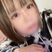 ヒメ日記 2025/01/12 10:45 投稿 笹川　千春 PLATINUM（別府）