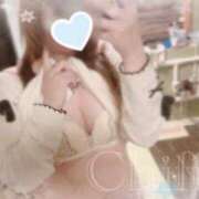 ヒメ日記 2025/09/30 11:55 投稿 ちふゆ リッチドールフェミニン