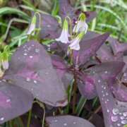 ヒメ日記 2025/10/18 10:28 投稿 しずか One More奥様　町田相模原店