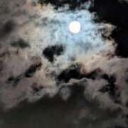 ヒメ日記 2025/12/05 09:49 投稿 しずか One More奥様　町田相模原店