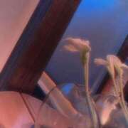 ヒメ日記 2025/02/28 22:25 投稿 ラブカ FANTASY（ファンタジー）