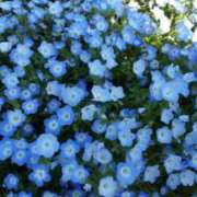 ヒメ日記 2025/04/15 10:47 投稿 じゅんこ 池袋で熟女の風俗 マダムいやーん