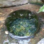 ヒメ日記 2025/07/22 10:35 投稿 じゅんこ 池袋で熟女の風俗 マダムいやーん