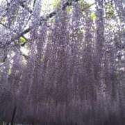 じゅんこ おはようございます 池袋で熟女の風俗 マダムいやーん