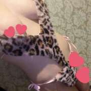 ヒメ日記 2025/12/30 21:06 投稿 春風まゆみ クラブダイアモンド新宿店