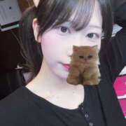 ヒメ日記 2025/09/09 14:06 投稿 こと クラブダイアモンド新宿店