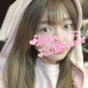 ヒメ日記 2025/04/08 15:00 投稿 ななみ クラブダイアモンド新宿店