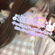 ヒメ日記 2025/11/15 13:45 投稿 ななみ クラブダイアモンド新宿店