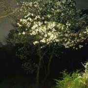 ヒメ日記 2025/04/10 18:07 投稿 ゆり ベイキュート