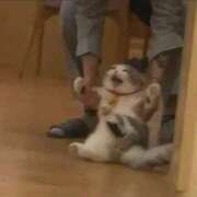 ヒメ日記 2025/04/18 14:17 投稿 ゆり ベイキュート