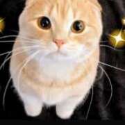 ヒメ日記 2025/04/28 17:27 投稿 ゆり ベイキュート