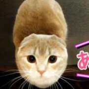 ヒメ日記 2025/12/28 21:07 投稿 ゆり ベイキュート