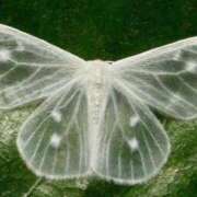 ゆり 男性陣も姫様方も ベイキュート