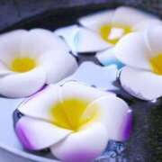 ヒメ日記 2025/09/02 12:15 投稿 ひろ 治療院.LOVE小山店