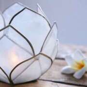 ヒメ日記 2025/11/03 07:27 投稿 ひろ 治療院.LOVE小山店