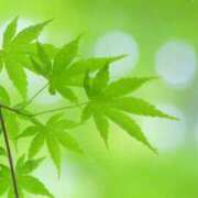 ヒメ日記 2025/11/14 11:51 投稿 ひろ 治療院.LOVE小山店