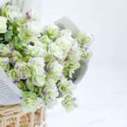 ヒメ日記 2025/11/18 14:27 投稿 ひろ 治療院.LOVE小山店