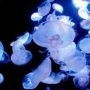 ひろ ご予約ありがとうございます😃 治療院.LOVE小山店