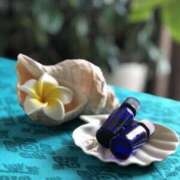 ヒメ日記 2026/01/20 11:51 投稿 ひろ 治療院.LOVE小山店