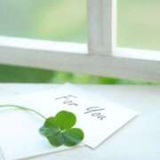 ヒメ日記 2026/01/28 14:51 投稿 ひろ 治療院.LOVE小山店