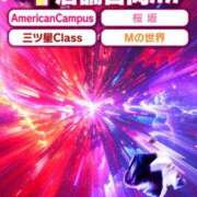 ヒメ日記 2025/12/01 11:03 投稿 星野ゆき Mの世界