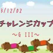 ヒメ日記 2023/12/02 14:31 投稿 はる なでしこ(十三)