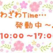 ヒメ日記 2024/04/04 10:35 投稿 はる なでしこ(十三)