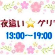 ヒメ日記 2024/04/05 13:58 投稿 はる なでしこ(十三)