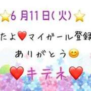 ヒメ日記 2024/06/12 10:02 投稿 はる なでしこ(十三)